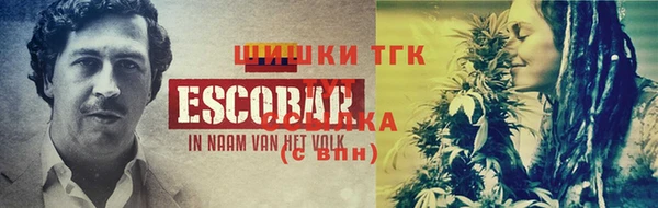 ешки Заводоуковск